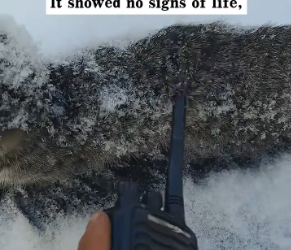 M2301027_I found a frozen stray cat in the snow and carried it home, and then…#rescue #animals #cat _part2