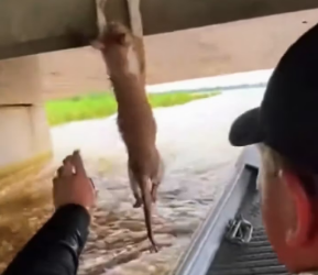 M2301029_4IU77CVZ_part2