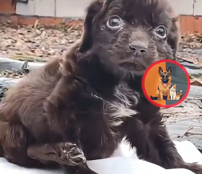 M2601011_She Was Abandoned at Birth Yet Found the Strength to Survive Against All Odds � resilient � survival � strength #cre