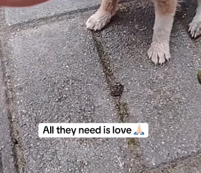 M2601016_8VHI2WMR_part2