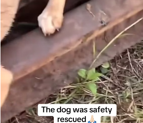 M2601018_YSI8GVYP_part2