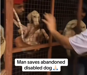 M2601019_RETWXYSI_part2