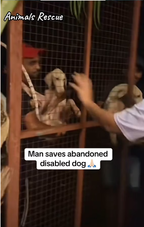 M2601019_RETWXYSI_part2