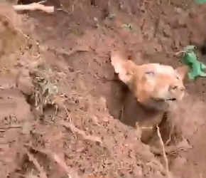 M2601020_P6WMXVTO_part2