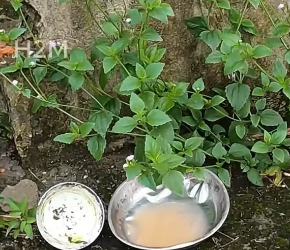 M2801014_While I was exercising on the side of the road, I heard strange noises from an abandoned house on the side of the road.