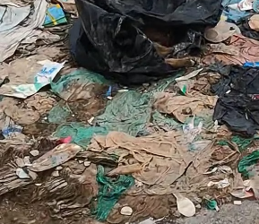 M2801015_while i was exercising i found this poor puppy lying motionless in a plastic bag i ran to check it and immediately save