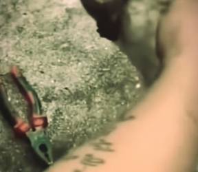 V1601010_rescue dog #rescuedog #helpdog #poordog #dog #dogs #puppy #fyp #foryo…_part2