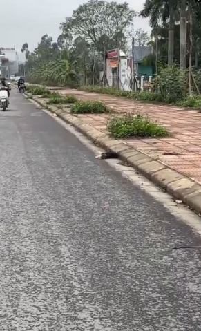 M3101008_On my way home from work, I accidentally discovered this poor puppy lying motionless by the roadside in the freezing wi