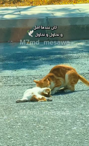 V1601016_I sincerely apologize, but I don’t know why I stopped. I don’t know why I even filmed in the first place, but the scene was very… (Part 2)