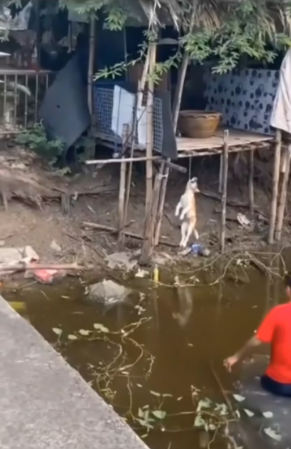 M1301023_Jonah Lynne Enriquez on Reels_part2