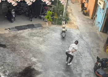 M1301020_� Shocking CCTV footage Cat suffers a seizure, falls off the balcony, and is rescued by kind women! #animals #catsofti