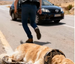 V1801024_Kind Man Risked His Life to Save Dog Snake_part2