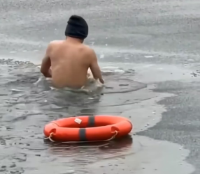 M2101014_Rescue poor dog #dog #trending #fyp #xuhuong #pet_part2