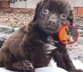 M2101018_She Was Abandoned at Birth Yet Found Strength to Survive Against_part2