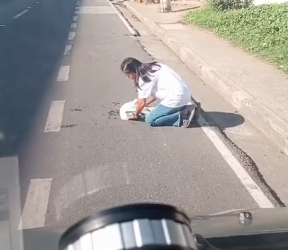 M2101020_IF YOU SLOW DOWN, YOU WON’T HIT THEM. Just because they are outside doesn’t mean they can be run over. If you are kind…