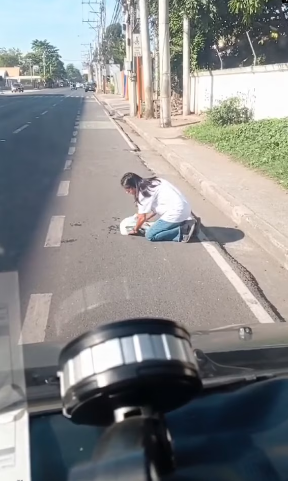 M2101020_IF YOU SLOW DOWN, YOU WON’T HIT THEM. Just because they are outside doesn’t mean they can be run over. If you are kind…