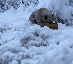 M2101021_A mountain top… Not a single house… Hunger… Fear… Confusion… All I saw in his eyes were these… At least today and tomorrow, no hunger…