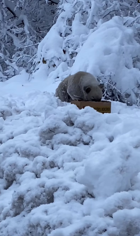 M2101021_A mountain top… Not a single house… Hunger… Fear… Confusion… All I saw in his eyes were these… At least today and tomorrow, no hunger…