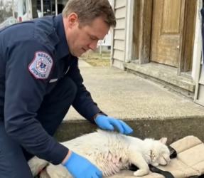 M2301002_Video_741787308571078_part2