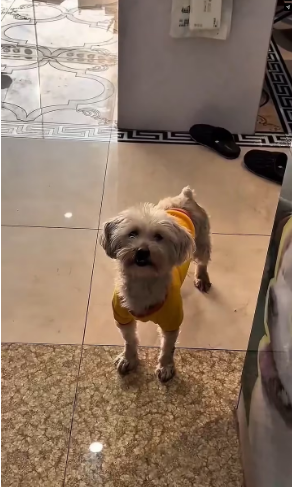 M2301003_Video_904937715444520_part2