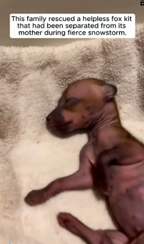 M2301007_Video_1879874456747708_part2