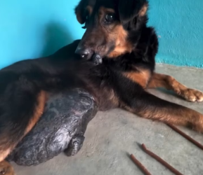 M2301008_His very first bed_part2