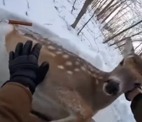 M2301010_Video_1611201600053759_part2