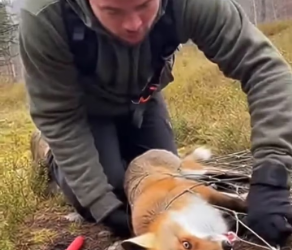 M2301012_Video_1761350114821148_part2