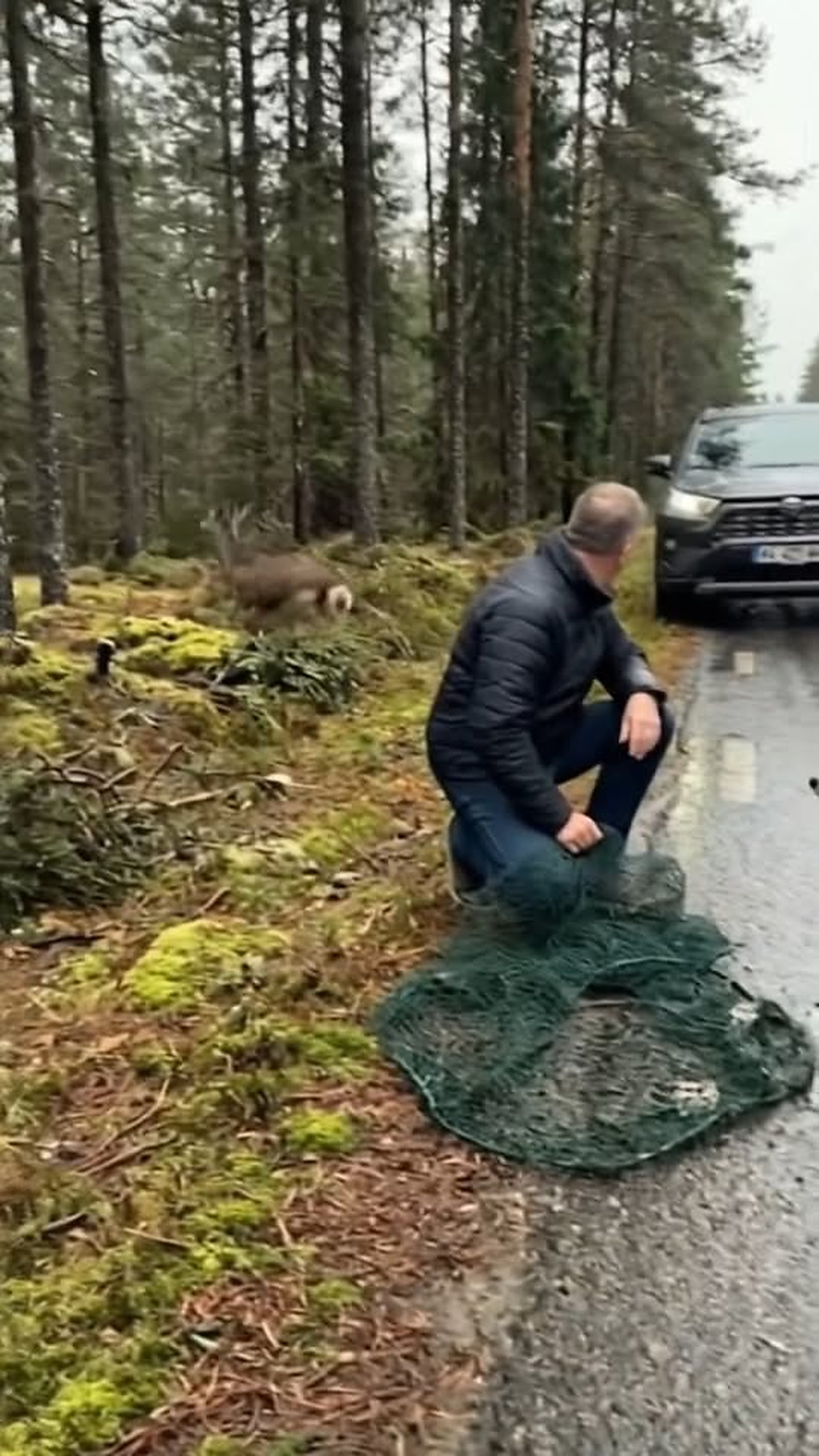 M2802001 Deer in Trouble part2