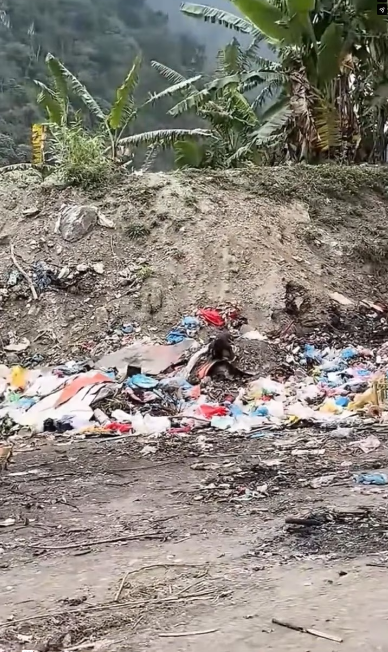 M3101014_Two poor dogs, with thick chains wrapped around their bodies, lay motionless in a pile of dirt by the roadside. Luckily