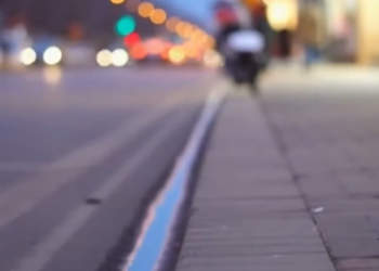 V1202035_I picked up a little dog by the roadside,and then….#dog #pet _part2