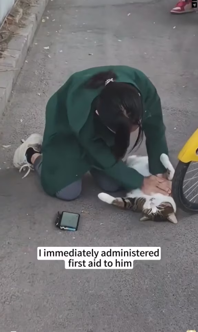 V1202062_The cat fell from a great height, I saved her and then…❤️#cat #rescue #animalrescue #love #usa #fyp _part2