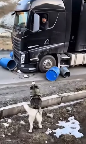 M0202007_Video_1947034682886922_part2