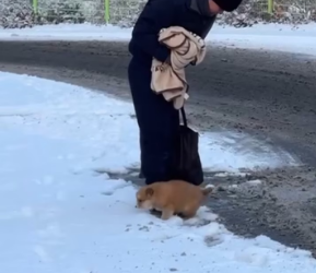 M2502015_188K reactions 1.8K shares Detik2 kaki yutut_part2