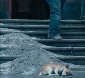 M0202009_Video_1740035063532834_part2