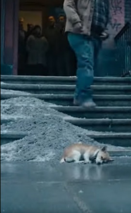 M0202009_Video_1740035063532834_part2