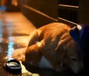 M2502030_#BalliBotMogis#TrendingReels #TrendingReels #Foryoupage ##FYP #RobotVibes #Innovation #FYP #ViralTik_part2