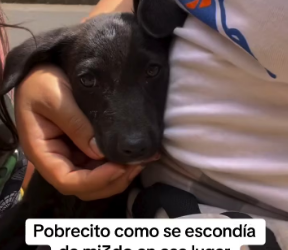 M2502033_3.3M views 165K reactions Josie Delgado on Ree_part2