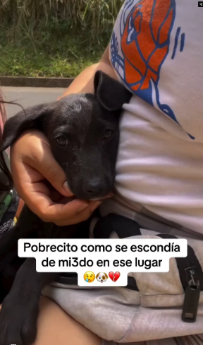 M2502033_3.3M views 165K reactions Josie Delgado on Ree_part2