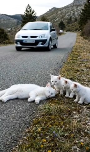 M2502034_Kind hearted lady rescue poor unconscious mother_part2