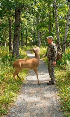 M2502036 One Deer Is Trapped_part2