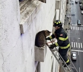 M2502038 She Thought She Lost_part2