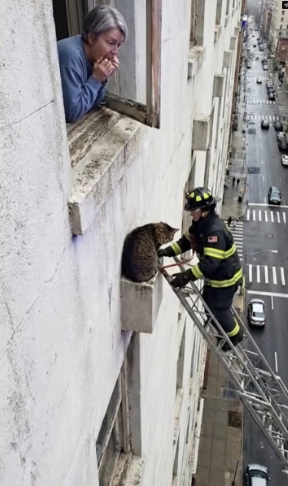 M2502038 She Thought She Lost_part2