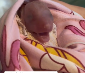 M2502042_After the rain, I found a puppy in the mud by the pond. I rescued him and then…❤️#dog #rescue #ani_part2