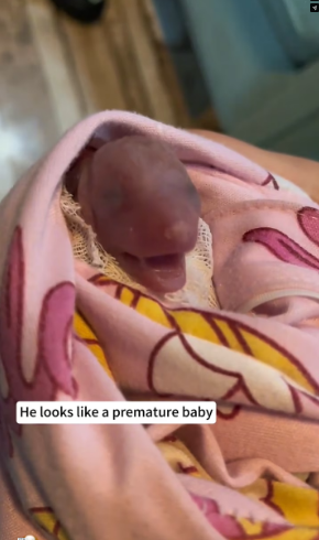 M2502042_After the rain, I found a puppy in the mud by the pond. I rescued him and then…❤️#dog #rescue #ani_part2