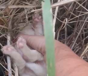 M2502005 shares I don’t know why_part2