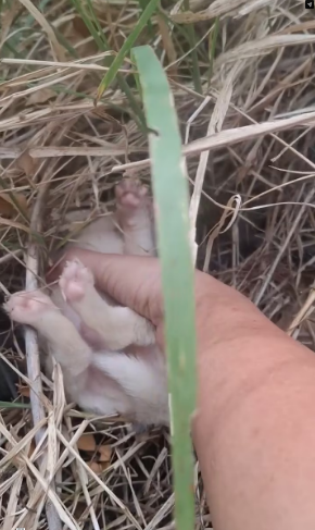 M2502005 shares I don’t know why_part2