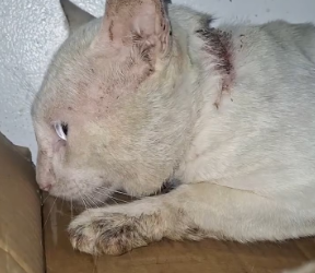 M2502006_179K reactions 3.6K shares May lahing afam ito_part2