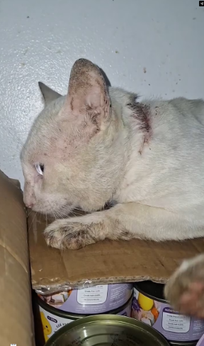 M2502006_179K reactions 3.6K shares May lahing afam ito_part2