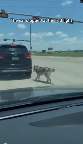 M0202013_tiktok_7596390966731246869_7596390966731246869_part2